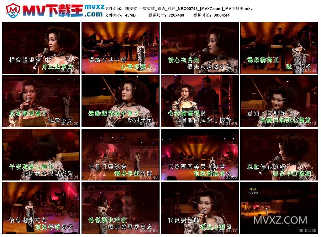 胡美仪-一缕柔情_粤语_戏曲_NBQ00743